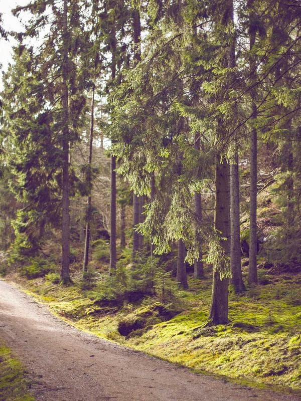 Cotton Kaftan — Sea Green