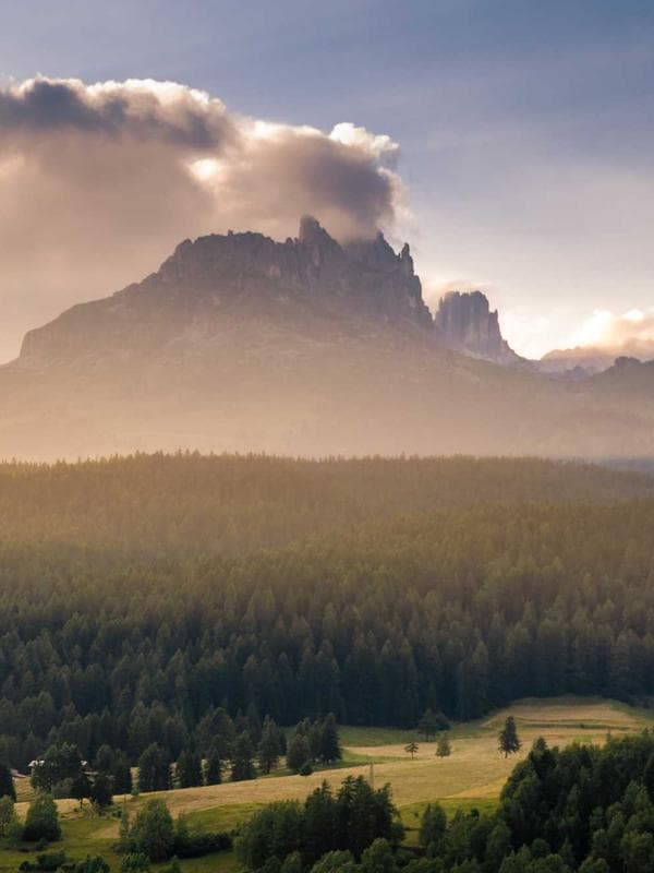 Formal Cotton Shirt — White