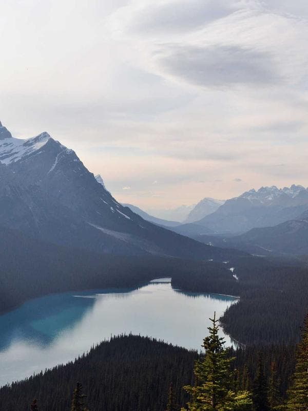 Slim Fit Trousers — Charcoal