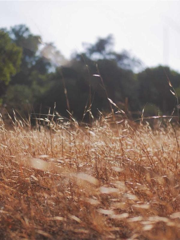 Tailored Wool Blazer — Navy