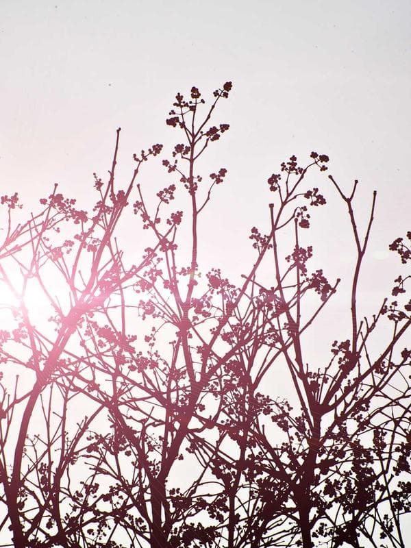 Two-Piece Suit — Graphite