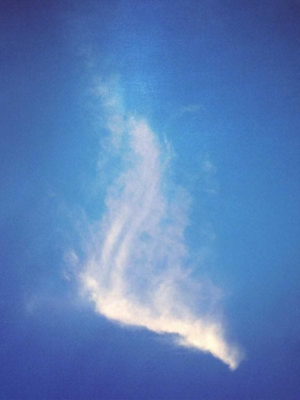 Cotton Kurta Pant Set