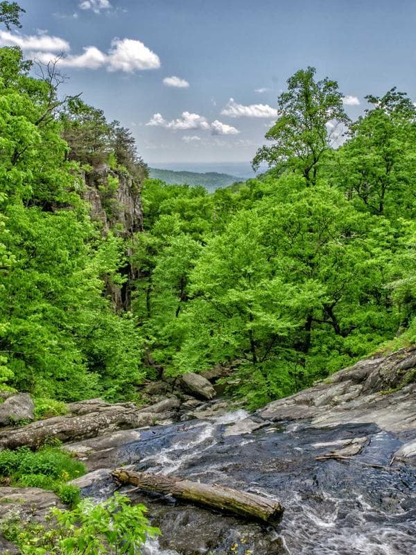 Cotton Kurta Pant Set