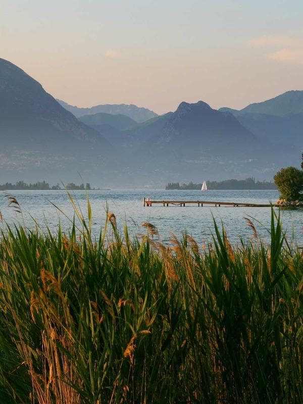 Designer Silk Dupatta