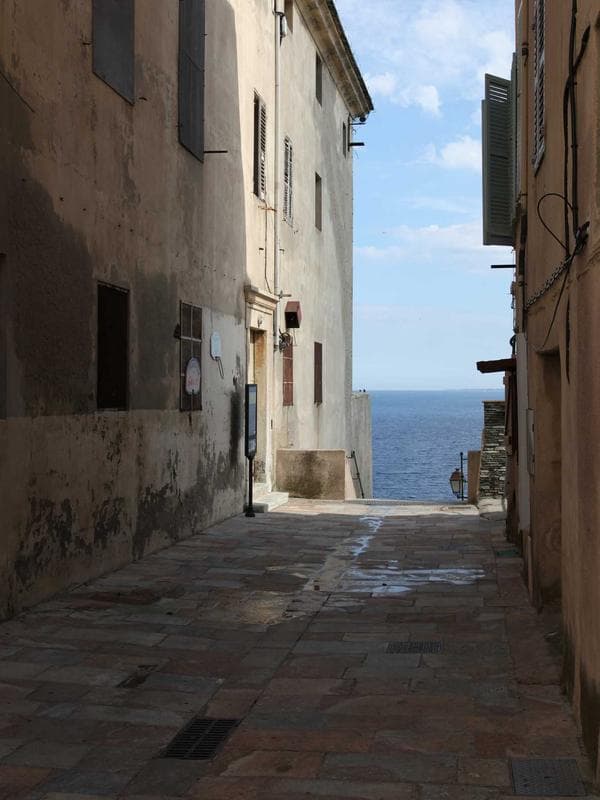 Kanjivaram Pure Silk Saree — Teal