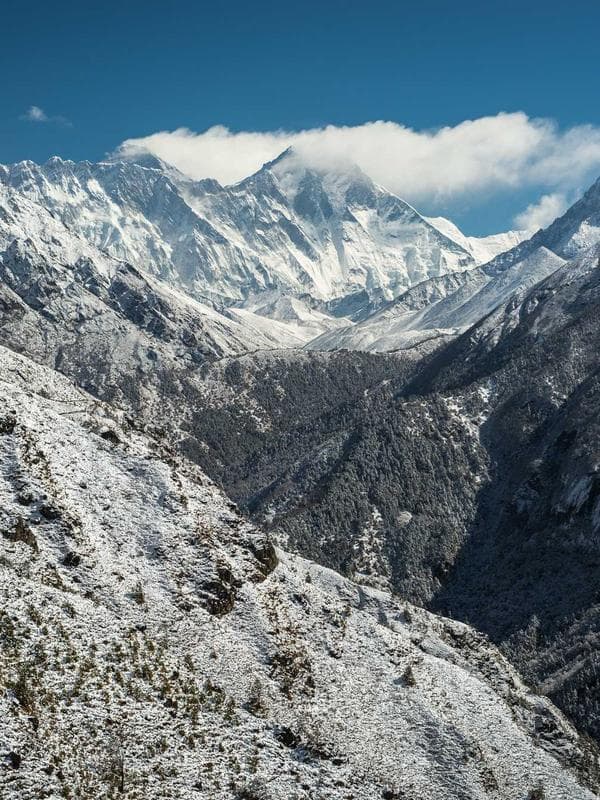 Cargo Joggers — Olive